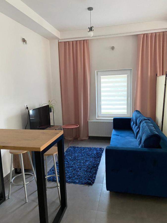 Apartamenty Pod Wierzbami Dwikozy Luaran gambar