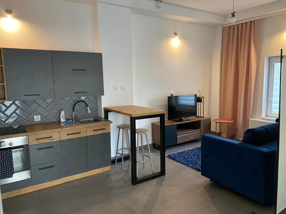 Apartamenty Pod Wierzbami Dwikozy Luaran gambar